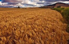 ֥�Ӹ��ڻ����������ס�С��ʹ��ڼ�9��ȫ���µ�