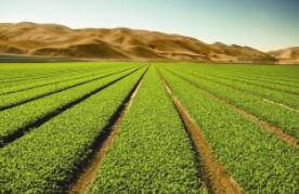 ũҵũ�岿���ٽ����ҵ������չ ��2025���ë���ܲ�ֵ�ﵽ3500��Ԫ