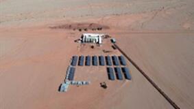 �����֥�Ӹ���ʳ�ڻ���USDA����±������г�������