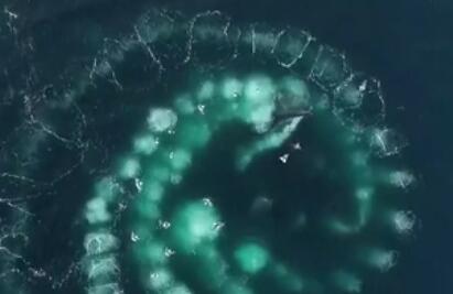 ���ˣ���ͷ���³��������ݲ�ʳ��Ϻ