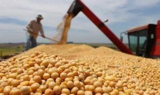 ֥�Ӹ���ʳ�ڻ�����1% ���ڻ����