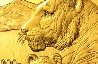 �й��������н�����2022�й���������������������һ��