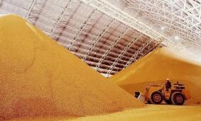 ֥�Ӹ��ڻ����������ס�С��ʹ��ڼ�23���ǵ���һ