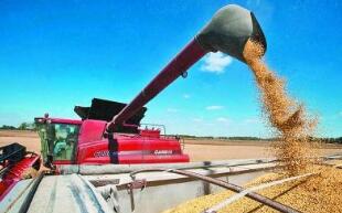 ֥�Ӹ��ڻ����������ס�С��ʹ��ڼ�29��ȫ���µ�