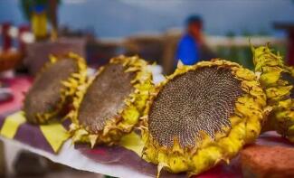 2021���ڿ���ũ��Ʒ�����ܶ�¸�