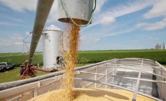 ֥�Ӹ��ڻ����������ס�С��ʹ��ڼ�22��ȫ������