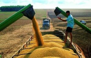 ֥�Ӹ������ڻ������µ���CBOT���ڻ���0.29%