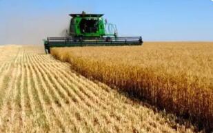 ֥�Ӹ��ڻ����������ס�С��ʹ��ڼ�1�ռ���ȫ�ߴ���