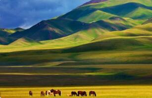 �Ƽ����ȾŲ����ƶ����Ƽ�Ԯ�������� �۽�̼���̼�к�