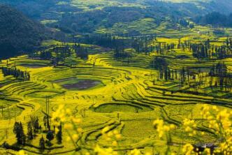 �Ƽ����ȾŲ��ţ�֧�����ϴ��조������֮����