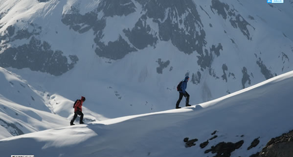 Ͷŵ̽·ߣMini LEDоƬɹע