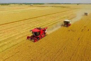 �����������ж���ʳ�Ǽ� ��Ҫ���ڹ�������ʳ��ȫ