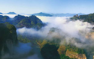 �岿����ȷδ��15���ҹ���Ȼ�����ؽ��輰Ұ����ֲ�ﱣ��Ŀ������