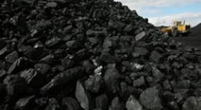 ӡ����ӱ��Ӷ���˹���ڽ�ú