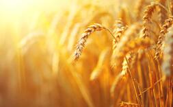 ������������������ۼư�������С���׳�Ȳ������ʽ�50��Ԫ