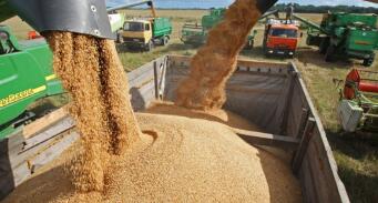 ֥�Ӹ��ڻ����������ס�С��ʹ��ڼ�1��ȫ���µ�