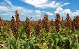 �й����Ҽ������ֻ������ӵ�216��