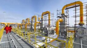 ����˹��ͣ�򱣼����ǡ�������Ӧ��Ȼ��