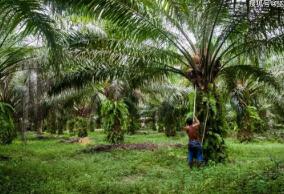 ӡ����ָ������ϵ�в�Ʒ����