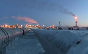 ����������ͣ�������Ӧ��Ȼ��