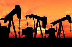 ���������Ͳ��ͼ۸�������������