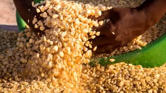 ȫ��20������ҳ�̨��ʳ�������ƴ�ʩ Ѱ�������Դ�����Ա���