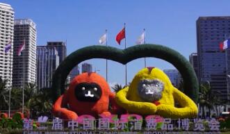 2022�й���������Ʒ��������쿪Ļ