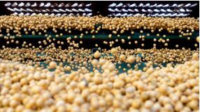 ������˹��������ʳ�ͻ��ʴ��ڶ��˳�������ƽ�ȴ�����Ʒ�г�