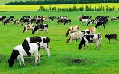 ũҵũ�岿��2021���й����������3778��� ͬ������7%