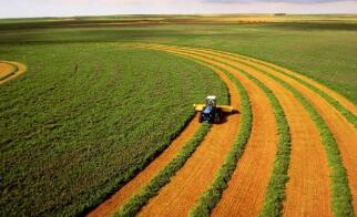 ���еȲ���ӡ�������ջݽ��ڸĸ����������巽��