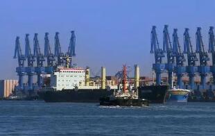 ���޵ĺ���ɢ���˼�ָ����һ�µ�������ʹ����˷��»�