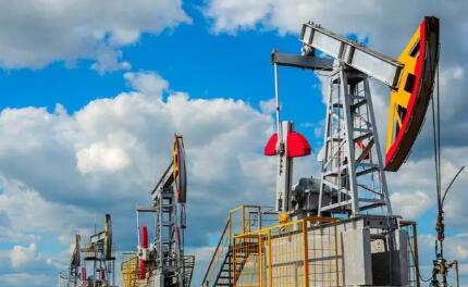 �¹����������������׽��˶���˹ʯ��