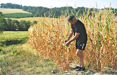 �������Ԥ������Ƿ����м�¼��������һ��