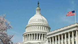 ��������Ժͨ��2023���꡶������Ȩ����