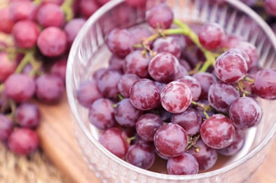 һũƷƷ èָ2022ũƷϮ