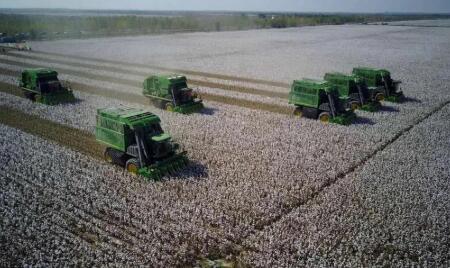 2022���й��޻�����ͬ������4.3% �����������