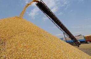 IGC�µ�2022/23���ȫ��󶹲���Ԥ��300�����3.85�ڶ�