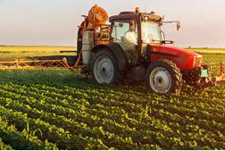 Ǽع2022ȾԤ120%-136%