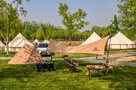 ̽·һȶָ ƽ +оƬ˫ҵս