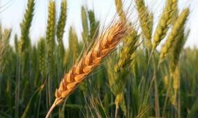 �������跺ŷ���������Ʒ�С���ڻ���0.95%