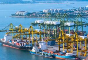 ���޵ĺ���ɢ���˼�ָ��΢�ǣ�����ʹ��������