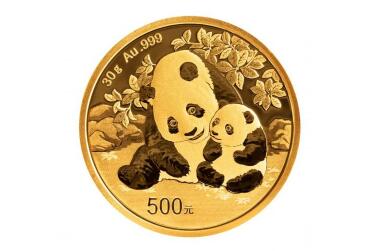 �й��������н�����2024����è����������