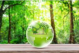 2025��12�·ݾ������Ѽ۸�ͬ������0.8%